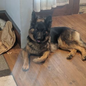 Meet your Posher, Terina